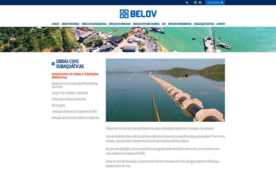 Página de serviços do site da Belov visto do computador - Click Interativo