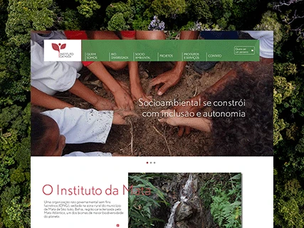 Website 
