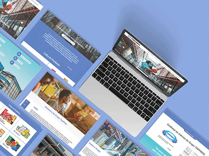 Website 